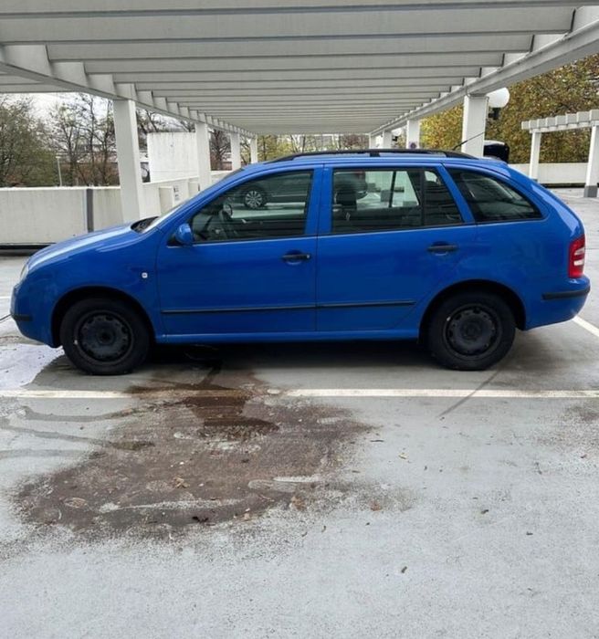 Usa portiera fata spate haion bara Skoda fabia 2003 1.2 AZQ
