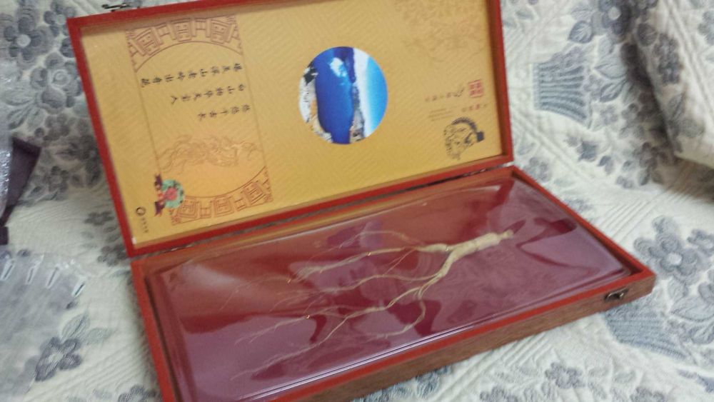 Женьшень китайский подарочный