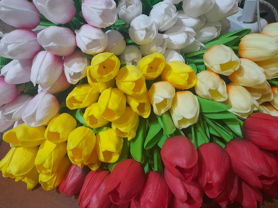 Тюльпаны тюльпаны