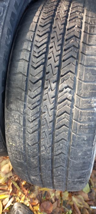 B/u balon shina arzon