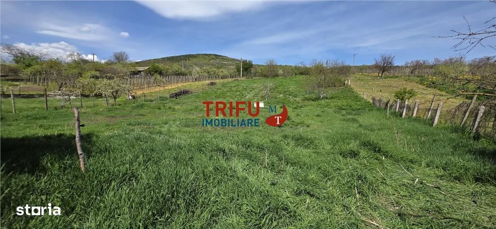 Casă autentică cu farmec transilvănean – o proprietate rară în Cricău