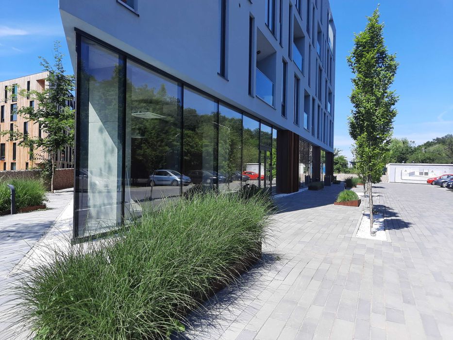 Spatiu comercial deosebit Loft - Mogosoaia Ilfov