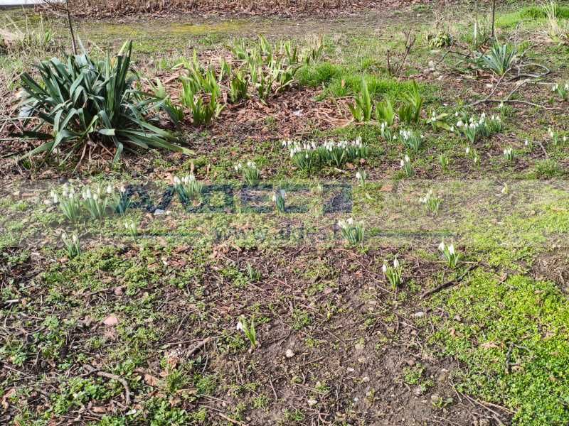 Дава се под наем Офис в София, Стрелбище - 55 кв.м за 548.25 € - Снимка #14