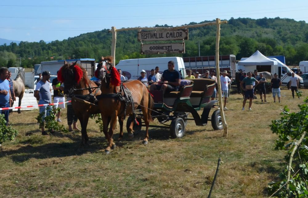 Vând sau schimb o iapa si o cârlană
