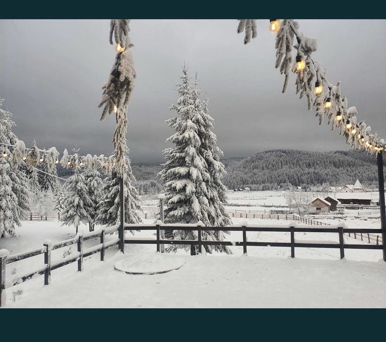 Vila-Cabana Comandau