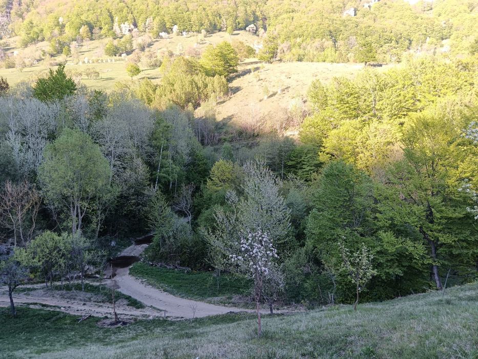 Teren Poiana Lunga,Cornereva