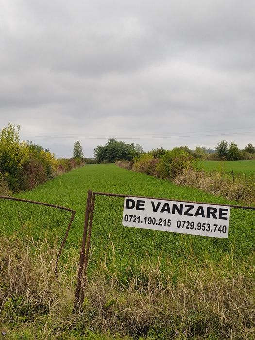 Teren intravilan Prahova