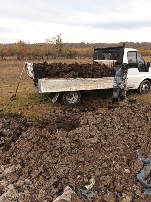 Gunoi de vaca bine macerat