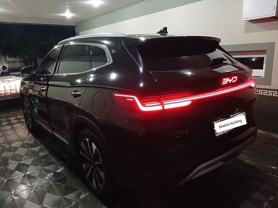 Byd chempion smart