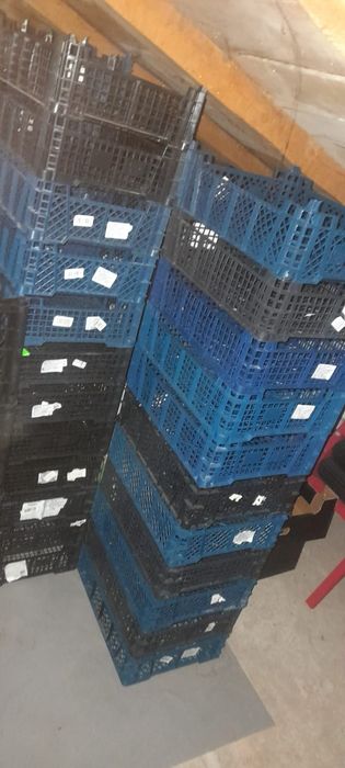 Vând lăzi din plastic, diverse mărimi