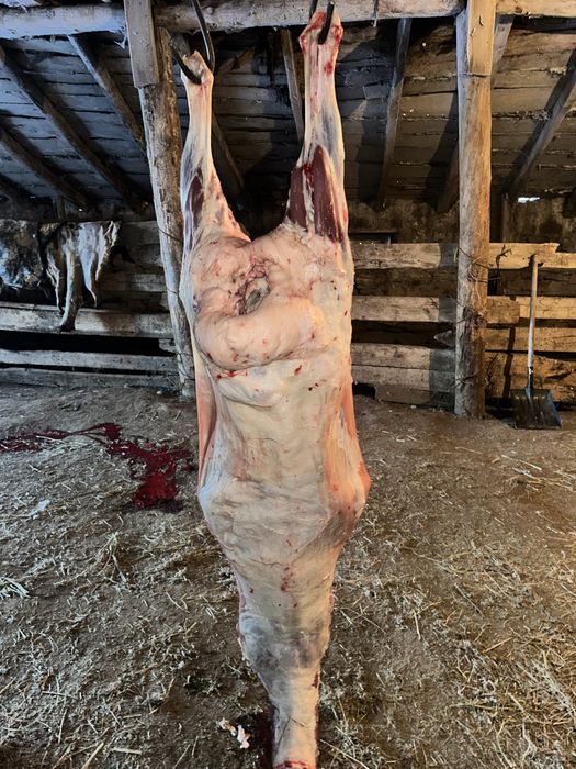 Продам мясо