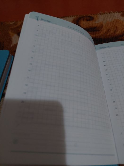 Ежедневник.                  .            .