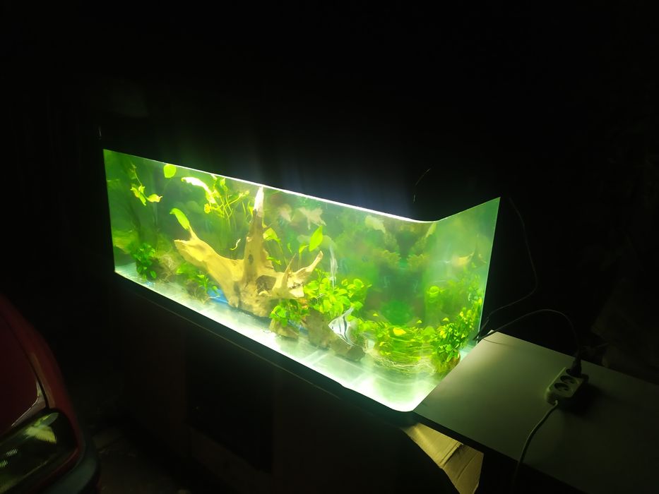 Заводской аквариум 440л .