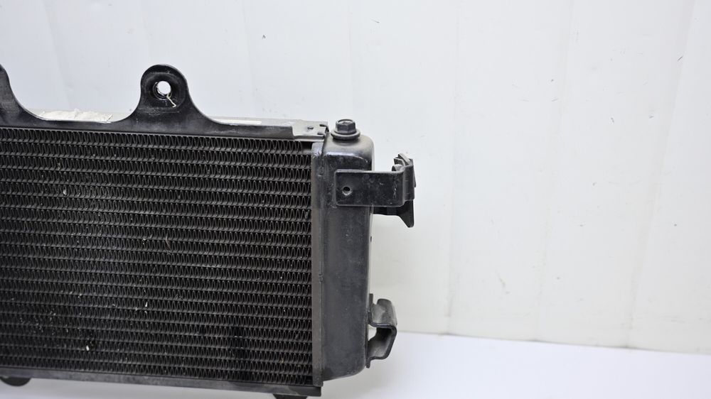 Radiator Apa KTM Duke 125 2017 - 2023