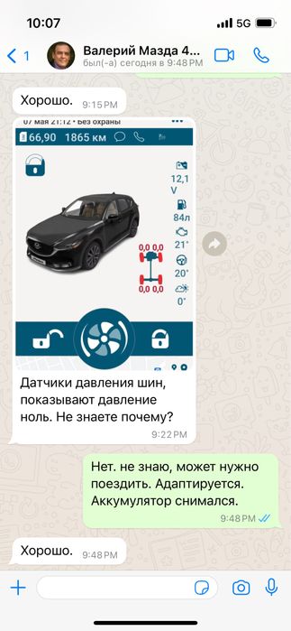 Мясо перепелки