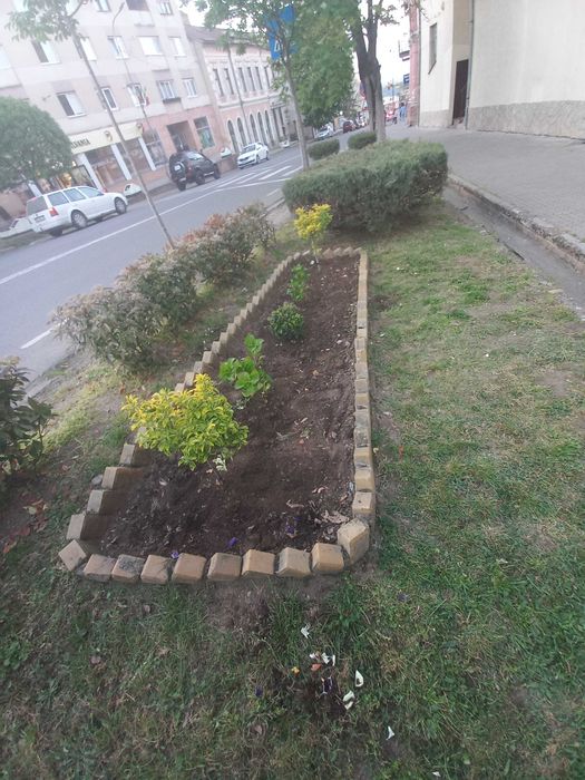 amenajări spații verzi