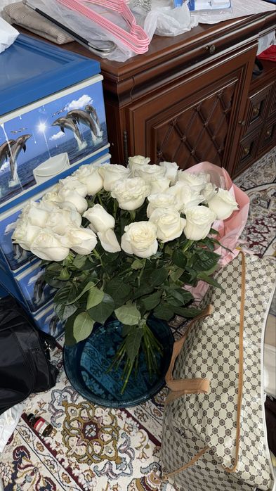 Цветы розы галандские
