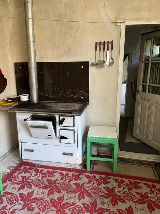 Casă de vânzare cu 2 parcele – Jamu Mare (70 km de Timisoara)