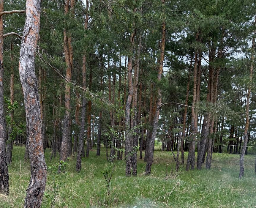 Земельный участок