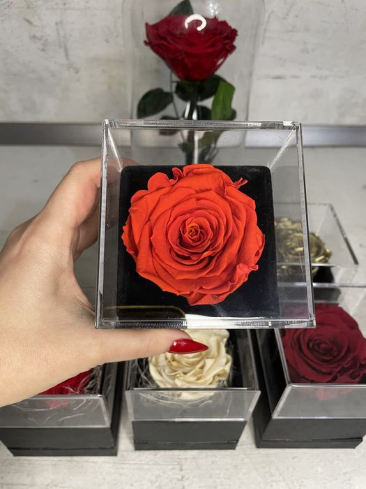 Вечна роза в кутия