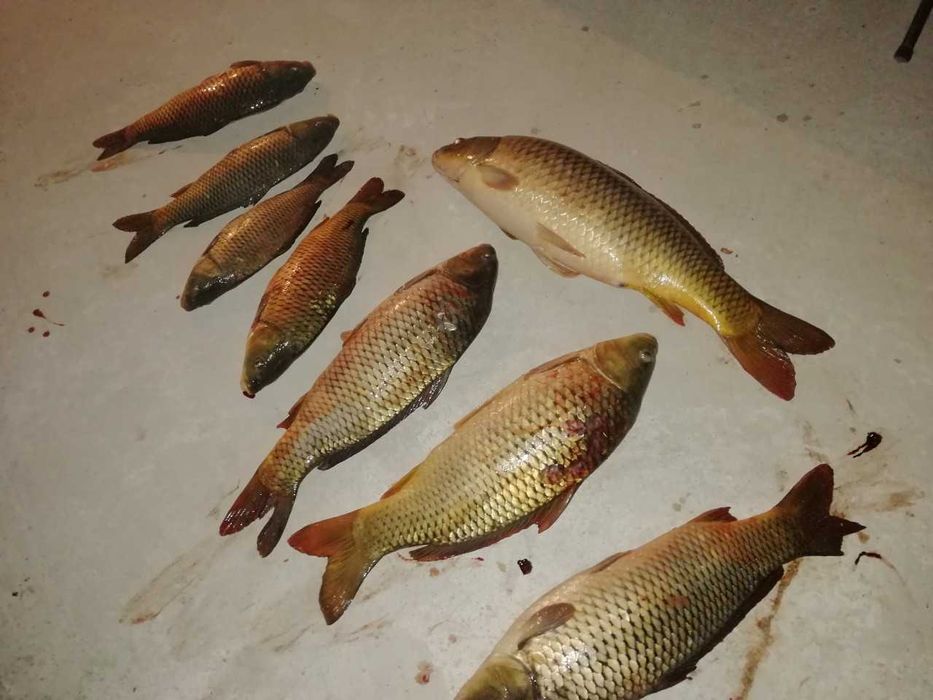 Надуваема лодка с твърдо дъно