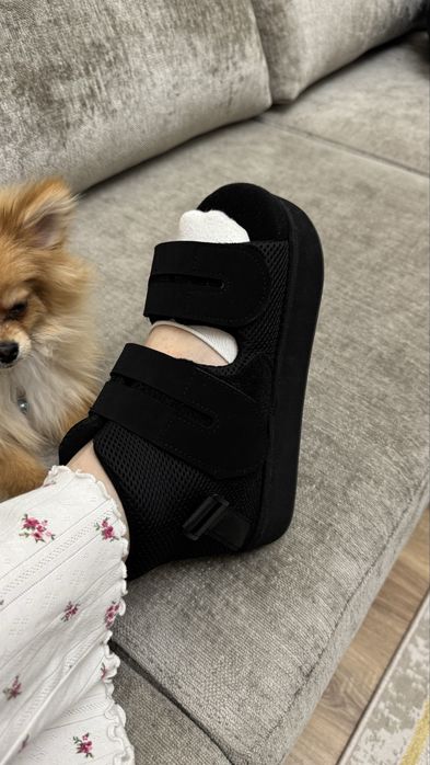 Барука медицинская