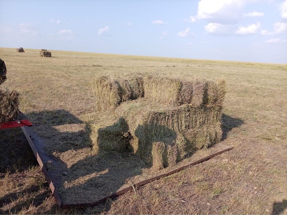Продам сено в тюках и рулонах
