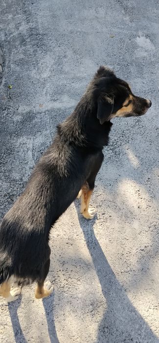 В добрые руки мальчик