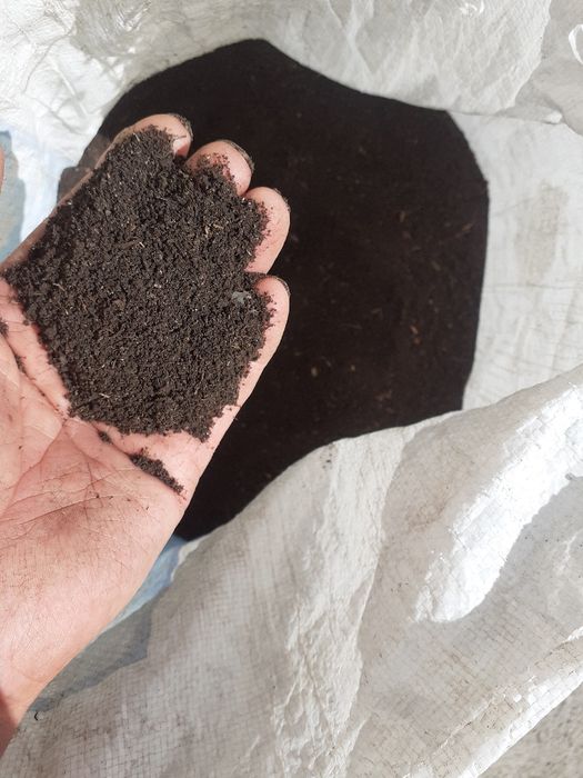 Биогумус шылаушын червы