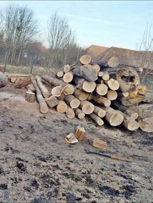 Lemne pentru foc esență tare