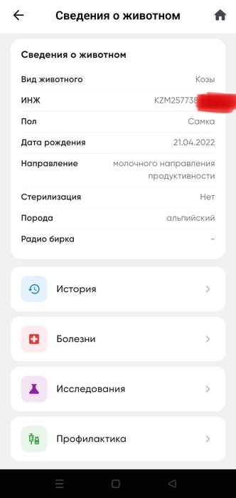Сүтті ешкі, козы породистые молочные