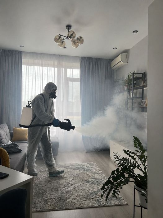 Дезинфекция от ТАРАКАНОВ, КЛОПОВ, блох и пр. Уничтожение