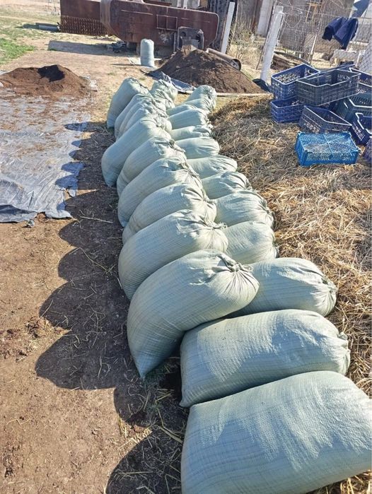 Биогумус, удобрения. Табиғи тыңайтқыш