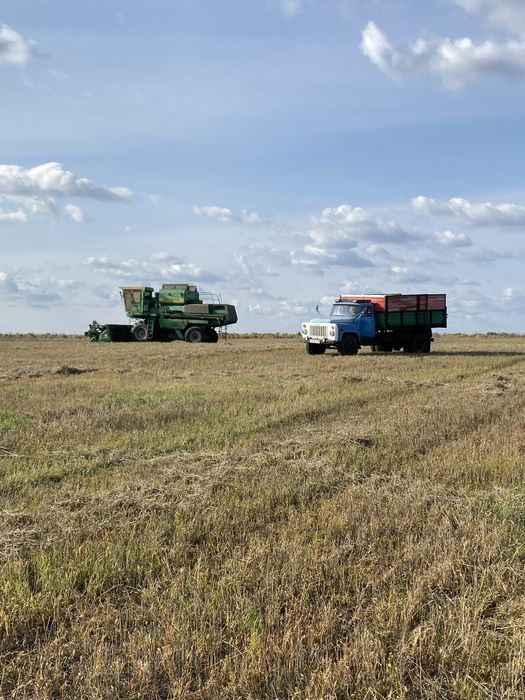 Срочно, Продам  живой Газ-53