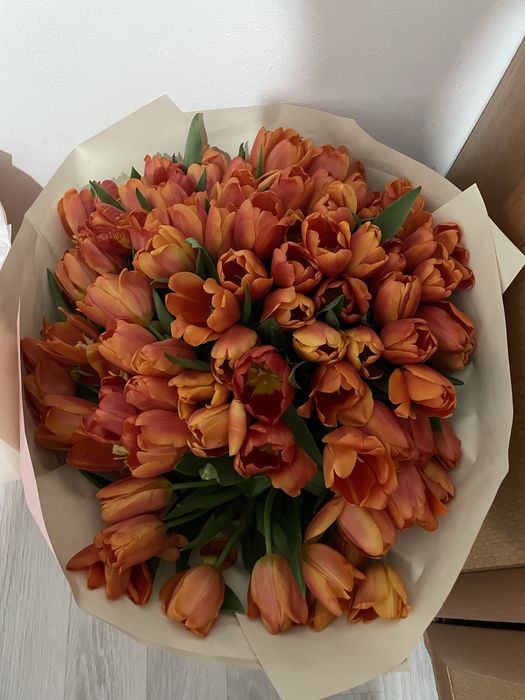Продам 101 тюльпан