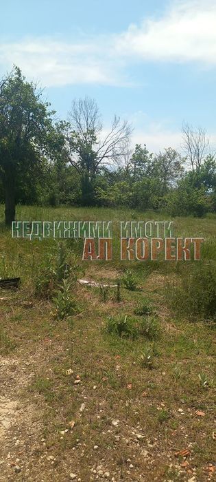 Продава се Парцел в с. Кривня, Област Варна - 2620 кв.м за 10 €/кв.м - Снимка #6