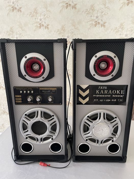 Усилитель колонки парные с караоке