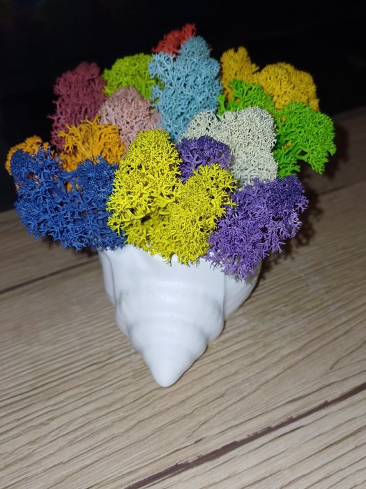 Кашпи със скандинавски мъх