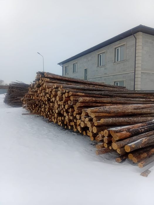 Кругляк низкие цены