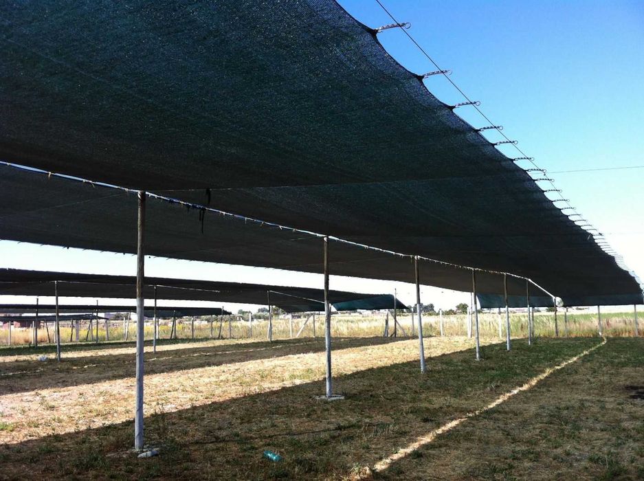 Plasa umbrire solar verde 40% latimi 4-10m