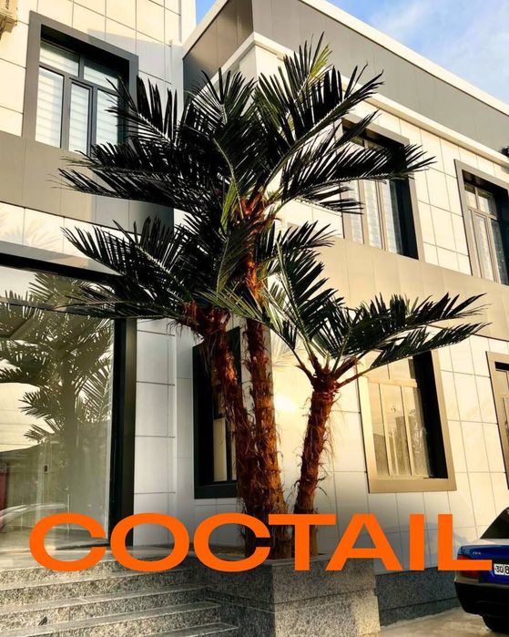 Sun'iy eko palmalar | bepul dizayn loyihasi | 30% chegirma