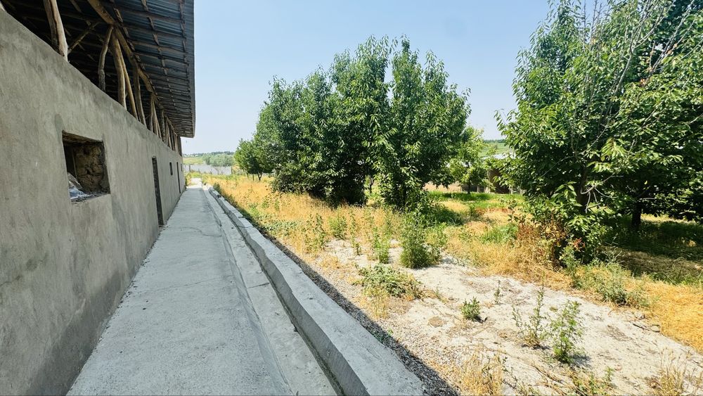 Ferma uchun tayor joy