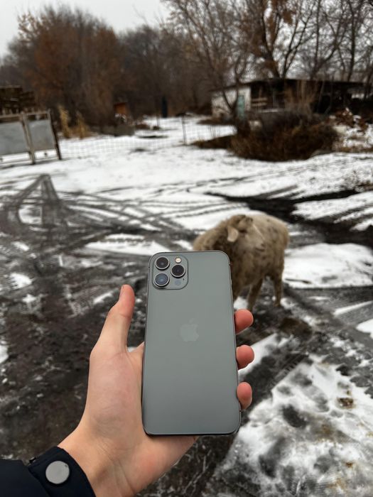 Айфон 12 про макс