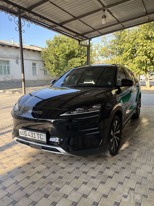 BYD chempion full 605