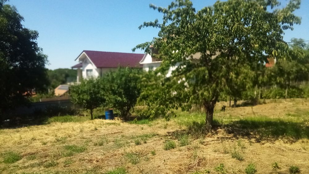 Chirie 1600 M2 teren îngrădit cu casa lemn, curentr Colinelor Oradea