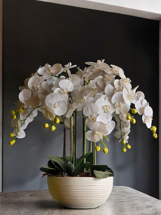 Компазиции из искувенных Орхидеи (Орхидея)