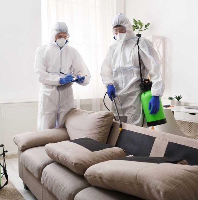 Servicii de DEZINSECTIE si Deratizare - Bucuresti - Ilfov