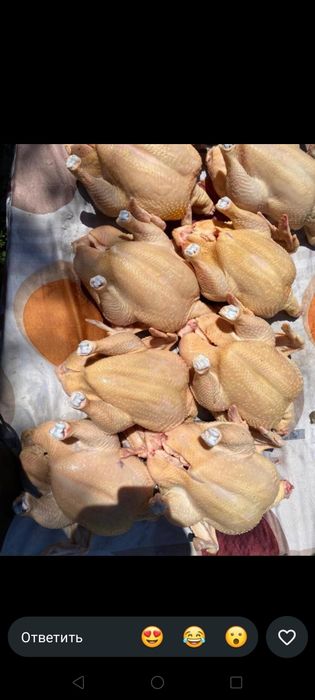 Домашние куры  натуральные без добавок