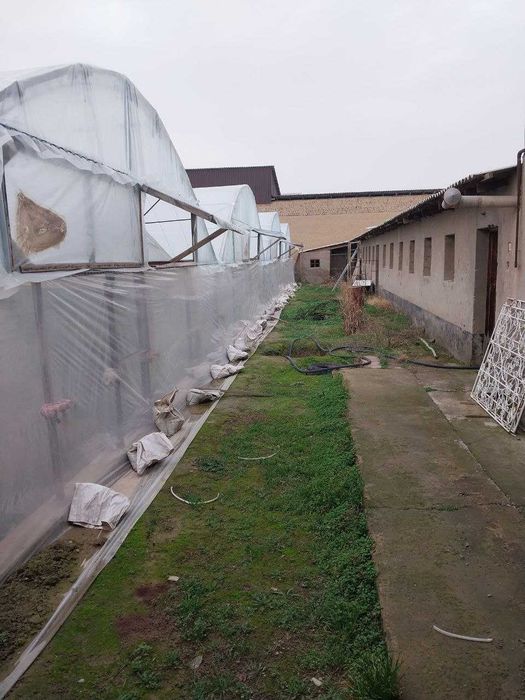 16 sotix 8 sotixdan 2 ta kadastr. 16 Сотих 8 сотихдан 2 та кадастр