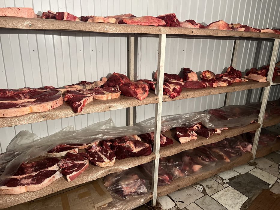 Продам жирных лошадей